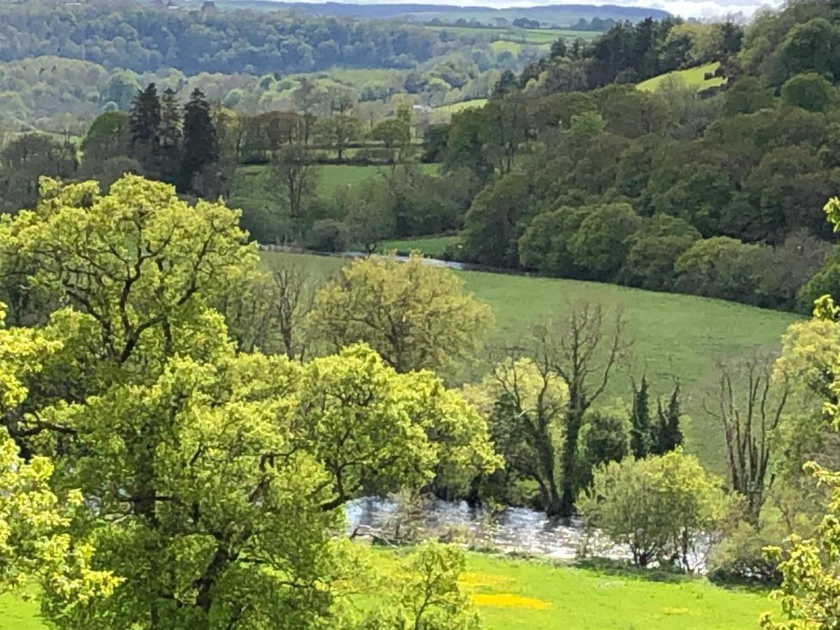 Stables Cottage, Idyllic Location Stunning Views Llandysul Exterior foto