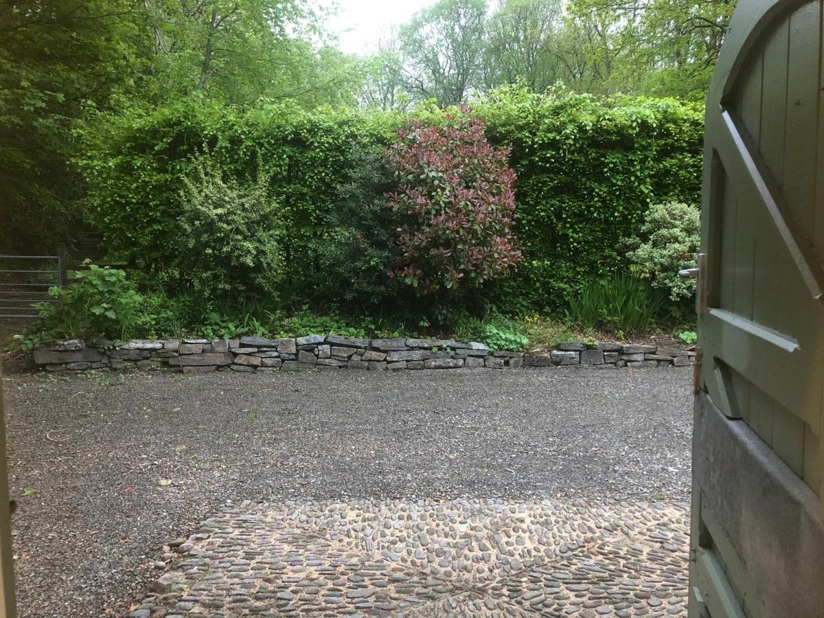 Stables Cottage, Idyllic Location Stunning Views Llandysul Exterior foto